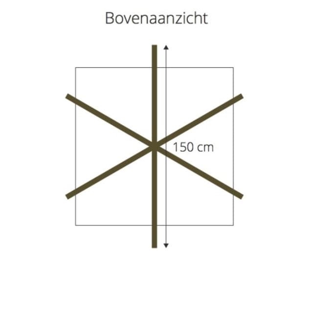 Plataan kruisdak 200-220 cm stamhoogte