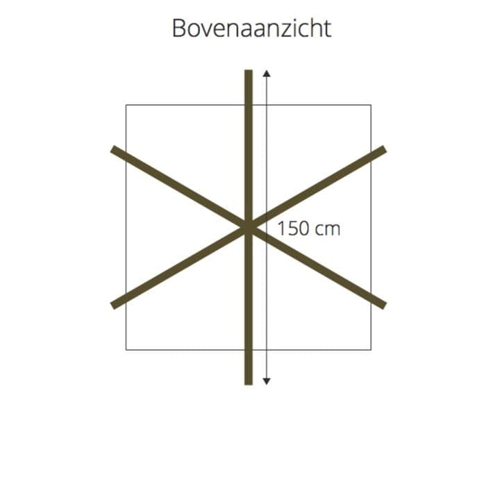 Moerbei kruisdak 200-220 cm stamhoogte