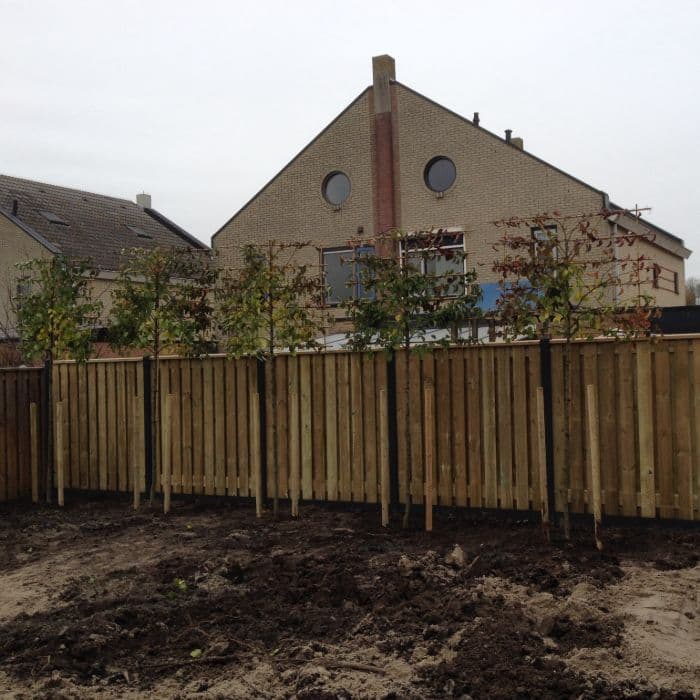 Sierpeer leiboom 150 cm