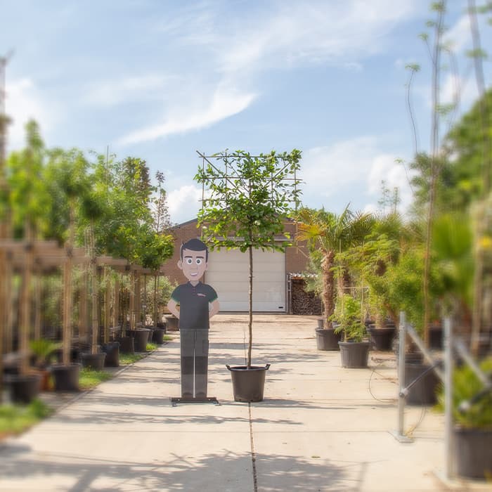 Leihaagbeuk 120 cm (120x120)