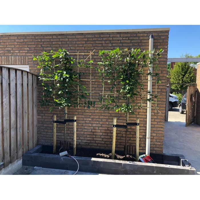 Leihaagbeuk 120 cm (120x120)