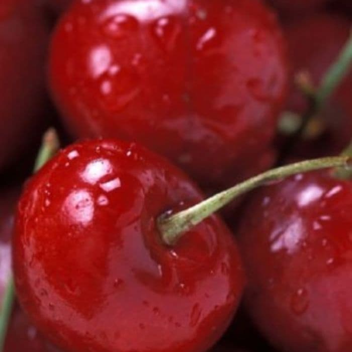 Prunus A. Dubbele meikers